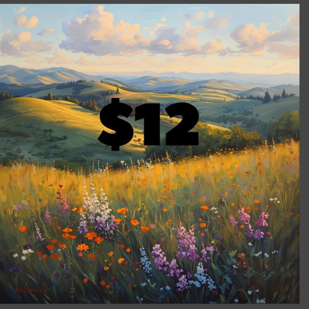 LISTING FOR LIVE SHOW! $12 Starts
